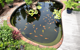 Best pond liners for eco properties, comparing geosynthetic clay liners with traditional pond lining options for sustainable water containment.