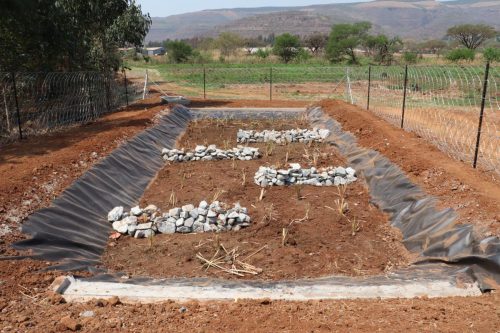 anaerobic-baffled-reactor-installation-wetland