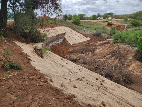 erosion-control-blanket-biodiversity